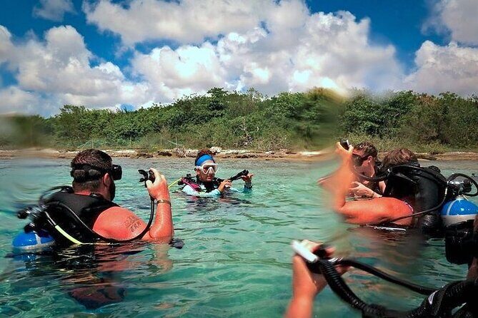 Discover Scuba Diving in Cozumel Paradise Reef - The Sum Up: Is This the Right Choice for You?
