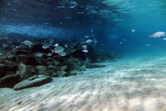 Discover Scuba Diving in Lanzarote (Costa Teguise) - Authentic Experiences from Reviewers