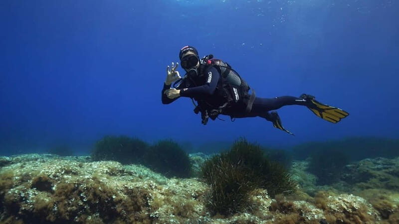 Discover Scuba Diving in Menorca: your first underwater adventure - Who Is This Tour Best For?
