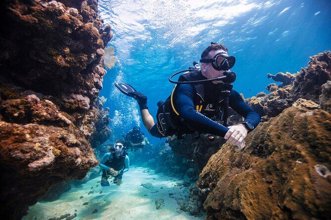 Discover Scuba Diving in Palamos - A Deep Dive into the Experience