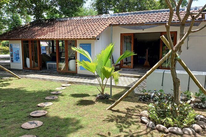 Discover Scuba Diving in Pemuteran at the Biorock site,1 shore dive all included - The Sum Up