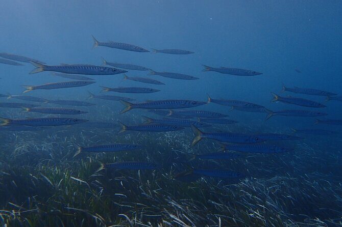 Discover Scuba Diving in Santorini - Itinerary Breakdown