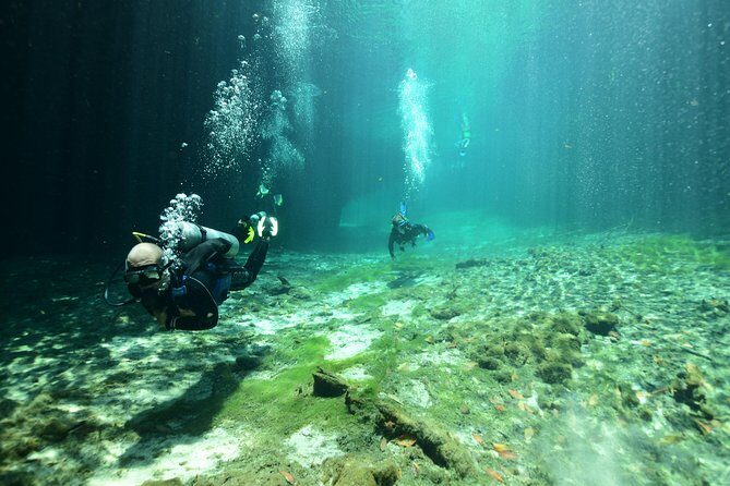 Discover Scuba Diving in Tulum - A Deep Dive into the Experience: What to Expect