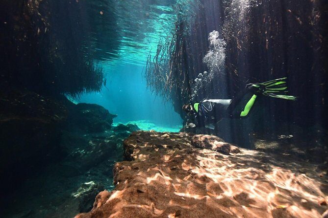 Discover Scuba Diving in Tulum - FAQs