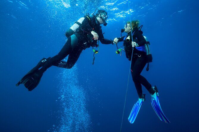 Discover Scuba Diving in Waikiki - Key Points