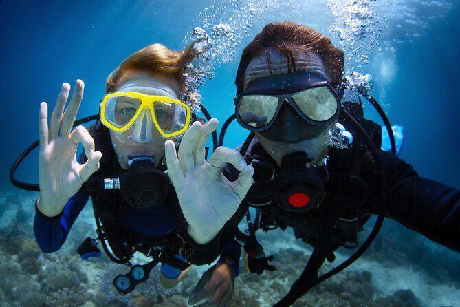 Discover Scuba Diving in Waikiki - An In-Depth Look at the Experience