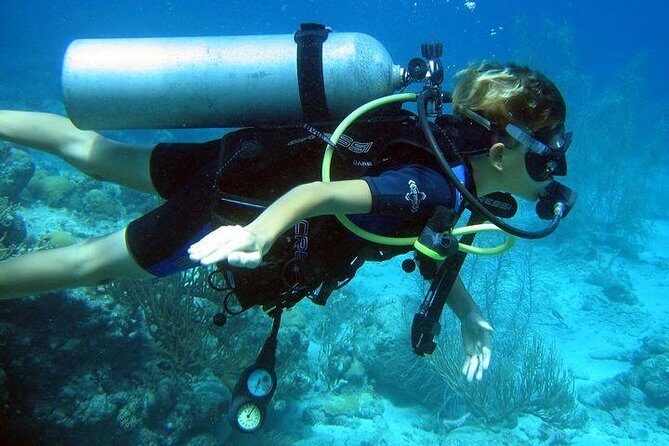 Discover Scuba Diving PADI in Playa del Carmen including underwater video - A Detailed Look at What This Tour Offers