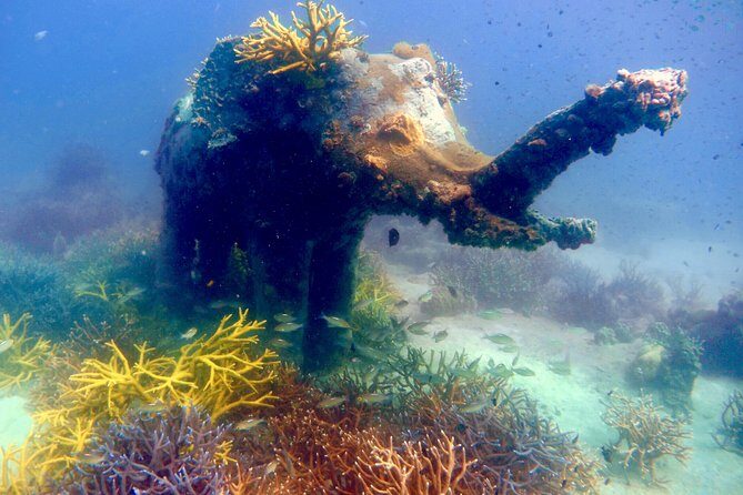 Discover Scuba Diving, try dive for beginners ( Start at Ko Kut) - What to Expect from the Discover Scuba Diving Tour