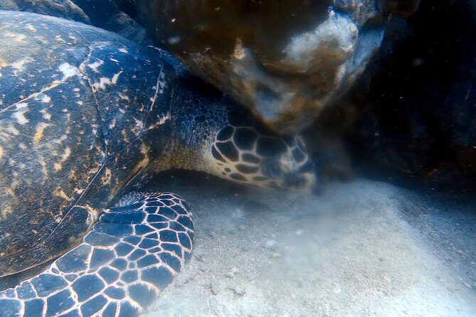 Discover Scuba Diving, try dive for beginners ( Start at Ko Kut) - Who Will Love This Tour?