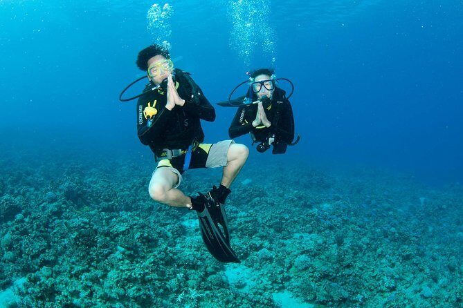 Discover Scuba diving, try diving for beginners (starts from Koh Chang) - Breaking Down the Itinerary