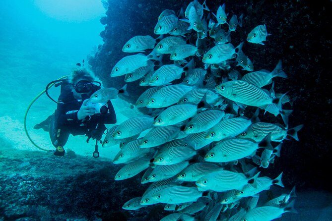 Discover Scuba experience at Las Caletas, Puerto Vallarta - An Honest Look at the Discover Scuba Experience