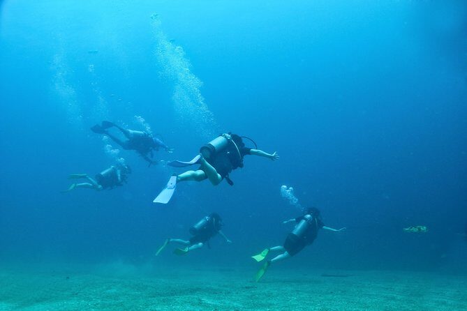 Discover Scuba experience at Las Caletas, Puerto Vallarta - Practical Tips for Future Participants