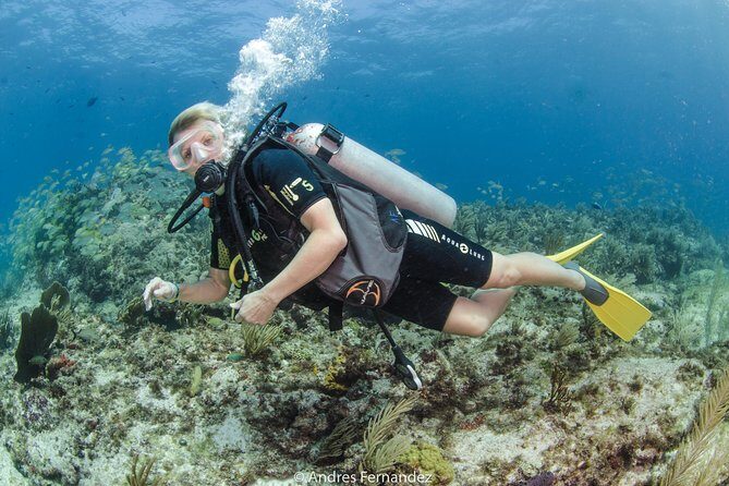 Discover scuba ,MUSA and Manchones reef dive without license - Authentic Feedback from Participants