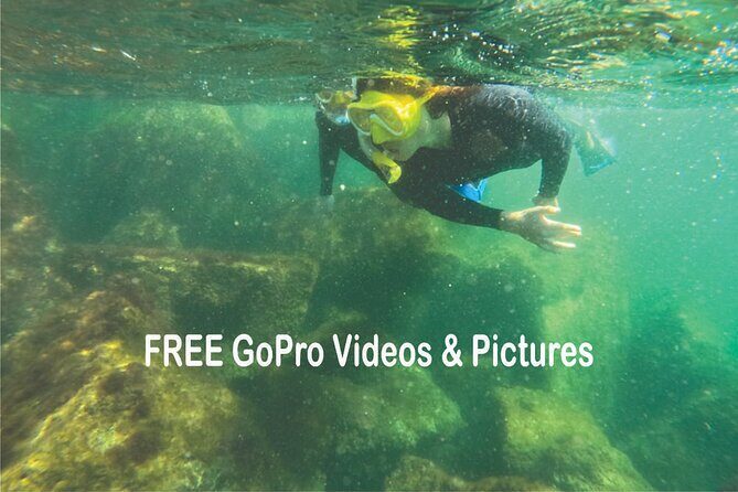 Discover Snorkeling Tour in Panama City - Key Points