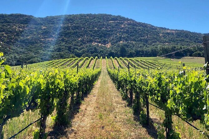 Discover Sonoma's Natural Wineries in Small-Group Tour - An In-Depth Look at the Experience