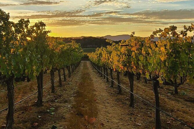 Discover Sonoma's Natural Wineries in Small-Group Tour - Who Should Book This Tour?