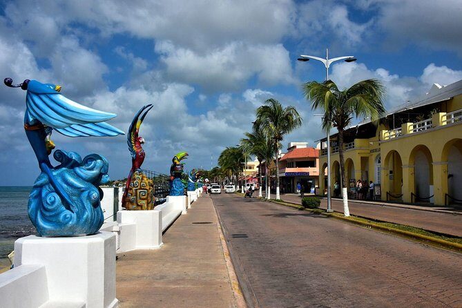 Discover starfish, swim and snorkel at El Cielo Cozumel Reef - Final Thoughts