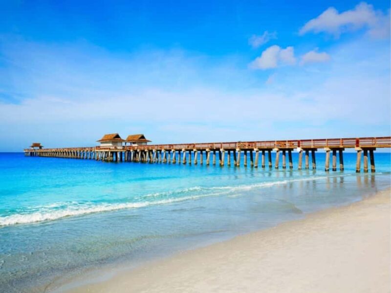 Discover Tampa: Full-Day Tour from Miami (12 Hours) - FAQs