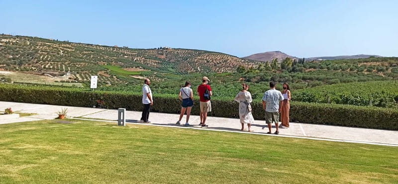 Discover Taste of Crete: Guided Winery Tour and Tastings - Potential Drawbacks
