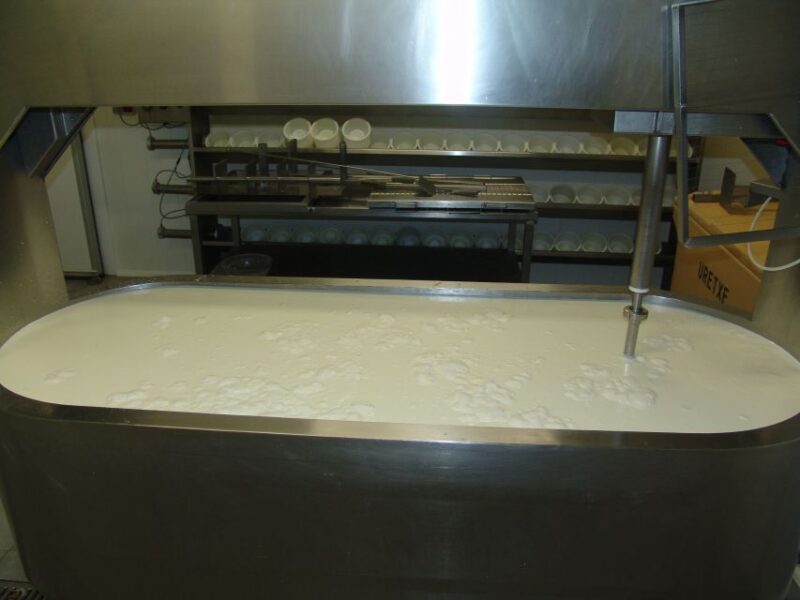 Discover the Art of Idiazabal Cheese in the Basque Country - A Closer Look at the Idiazabal Cheese Tour