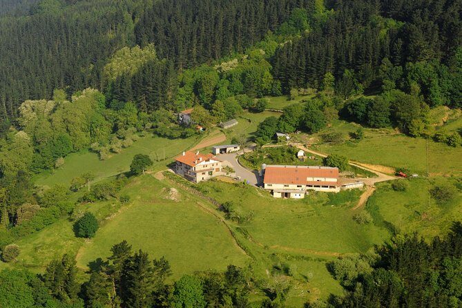 Discover the Art of Idiazabal Cheese in the Basque Country - Transportation and Logistics