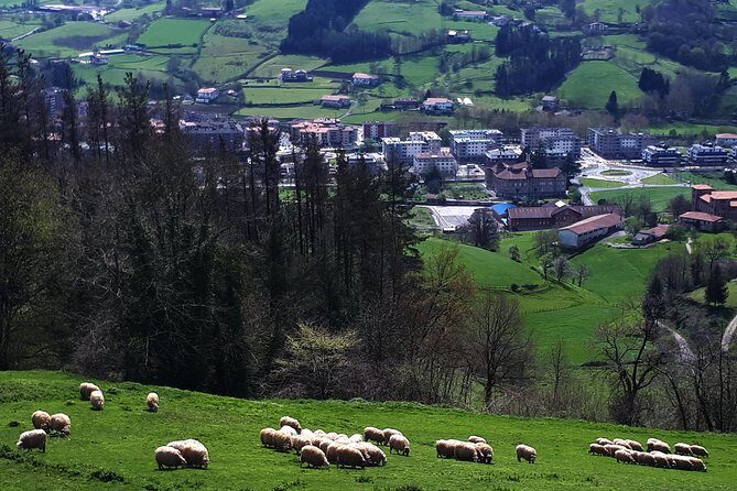 Discover the Art of Idiazabal Cheese in the Basque Country - FAQ