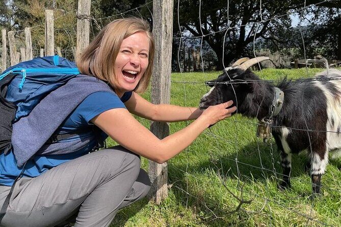 Discover the artisan producers of the mountain - FAQs