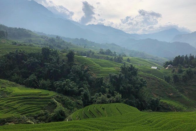Discover the Beauty of Sa Pa: A One-Day Trek - What to Expect on the Trek