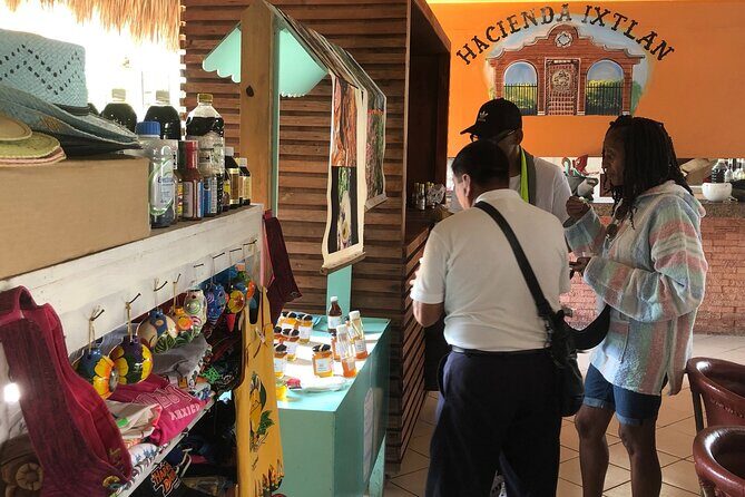 Discover the Best Buggy Adventure in Cozumel from Riviera Maya - What You’ll Love About This Tour