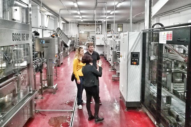 Discover the best cellars of Salento - Who Should Consider This Tour?