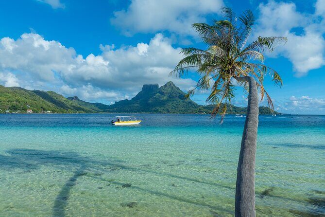 Discover the black pearl in Bora Bora - Final Verdict