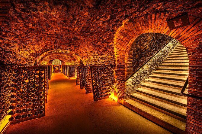Discover The Cellars in The Heart of The Countryside in Champagne - Who Is This Tour Best For?