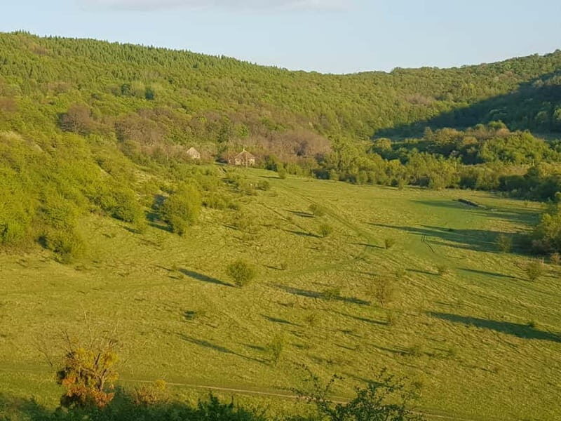 Discover the Charm of Guteria Hill/Sibiu Panorama - Comfort, Group Size, and Practical Tips
