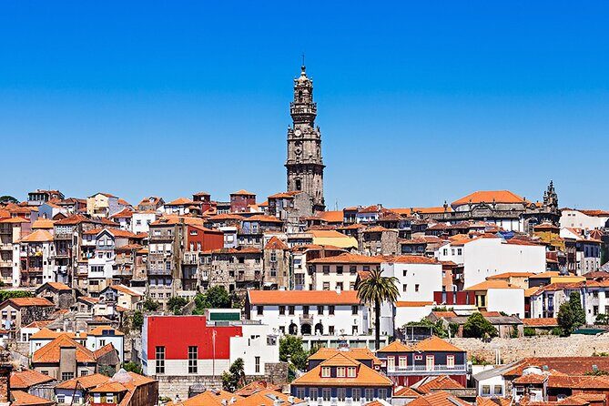 Discover the Charm of Porto with a Picturesque Private Journey - A Detailed Look at Porto’s Private Tour Experience
