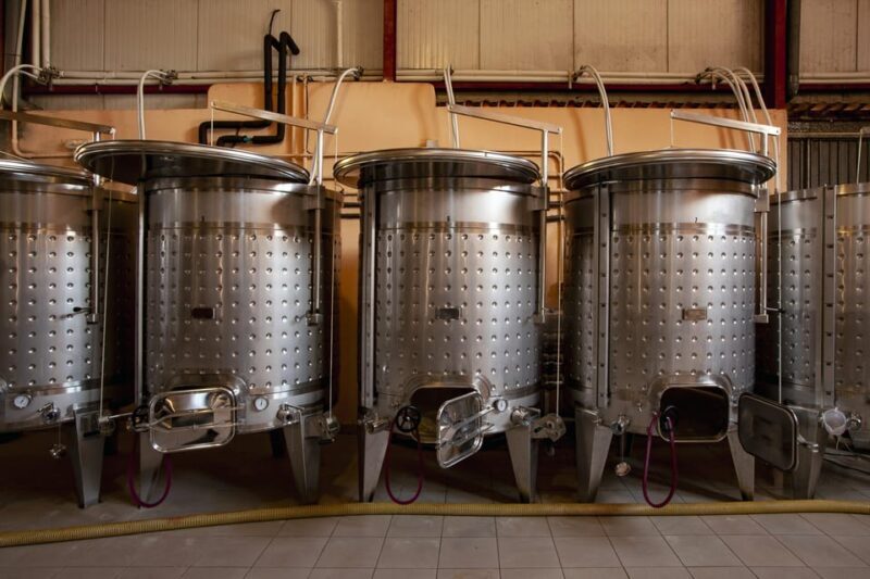 Discover the Essence of Ibizas rich wine culture - In-Depth Look at the Experience