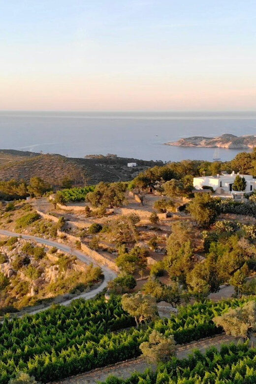 Discover the Essence of Ibizas rich wine culture - FAQs