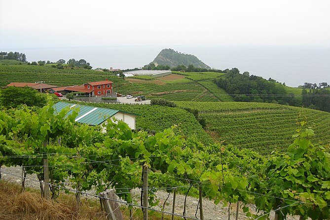 Discover the Essence of Txakoli Wine from San Sebastian - An In-Depth Look at the Txakoli Tour Experience