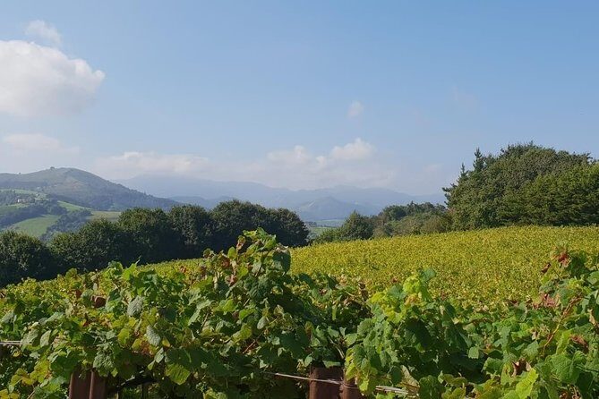 Discover the Essence of Txakoli Wine from San Sebastian - Frequently Asked Questions