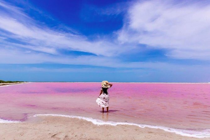 Discover the FABULOUS PINK WATERS at the Caribean (Las Coloradas+Río Lagartos) - Challenges and Considerations