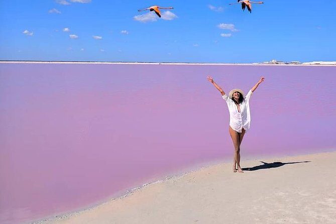 Discover the FABULOUS PINK WATERS in the Caribean - An In-Depth Look at the Experience
