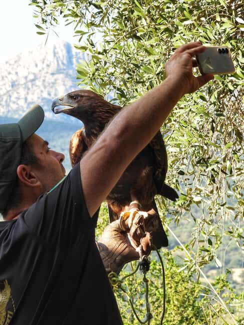 Discover the fantastic world of birds of prey in the Pollino National Park. - Discover the fascinating world of birds of prey in the Pollino National Park