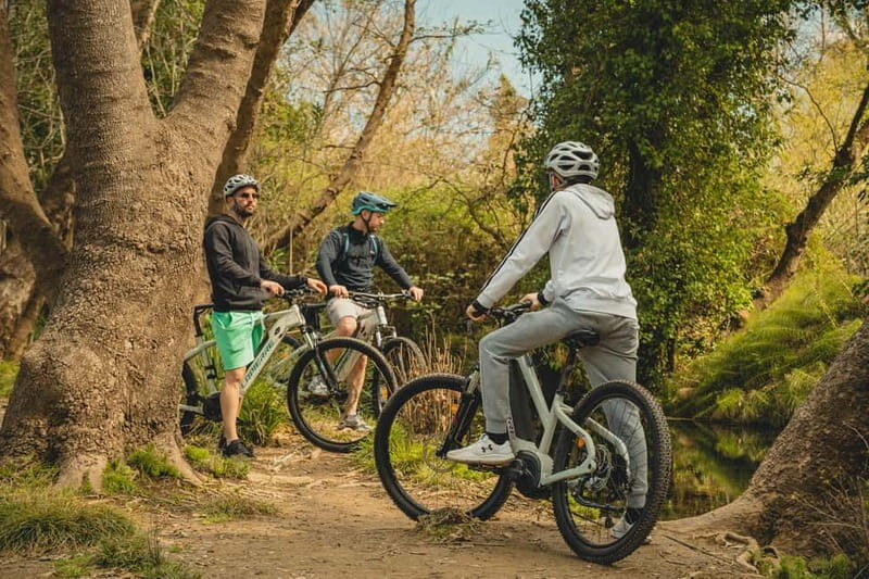 Discover the Heart of Crete on an E-Bike Adventure - What to Expect from this Crete E-Bike Tour
