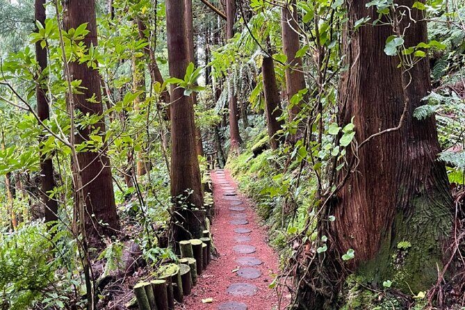 Discover the Hidden Gems of São Miguel - Full Day Private Tour - Introduction: Why This Tour Stands Out