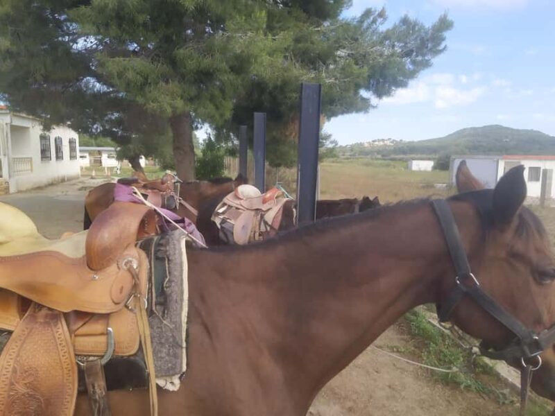 Discover the interior of Valencia on horseback - Key Points