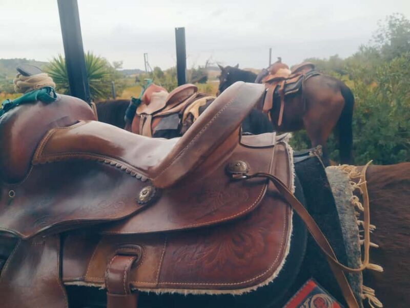 Discover the interior of Valencia on horseback - Is This Tour Right for You?