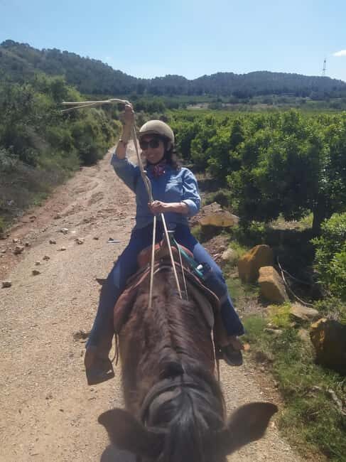 Discover the interior of Valencia on horseback - FAQs