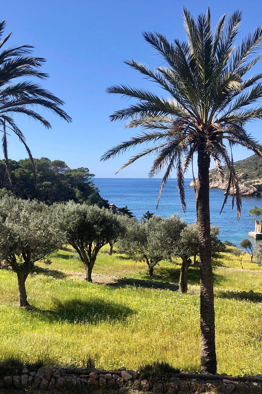 Discover the Island Dragonera by kayak and on foot - Key Points