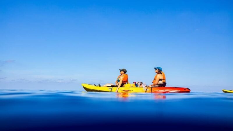 Discover the Island Dragonera by kayak and on foot - FAQs