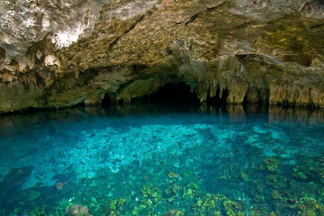 Discover the magnificent Secret River of the Riviera Maya. Transport included - Key Points