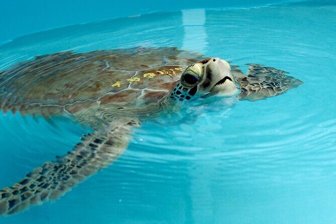 Discover the Marquesas Keys Private Experience - An In-Depth Look at the Experience